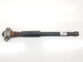 Stoßdämpfer hinten