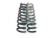 Muelle espiral trasero