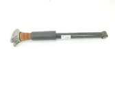 Rear shock absorber with coil spring