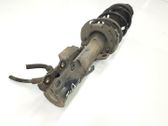 Front shock absorber/damper