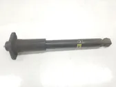 Rear shock absorber with coil spring