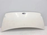 Engine bonnet/hood