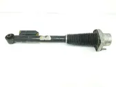 Rear shock absorber with coil spring