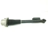 Rear shock absorber with coil spring