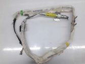 Airbag del techo
