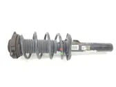 Front shock absorber/damper