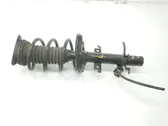 Front shock absorber/damper