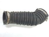 Manguera/tubo del intercooler