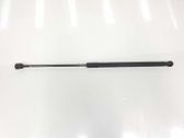 Tailgate/trunk strut/damper