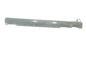 Sill/side skirt trim