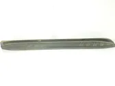 Sill/side skirt trim