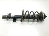 Front shock absorber/damper