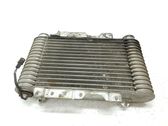 Radiatore intercooler