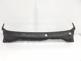 Moldura del limpia