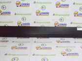 Moldura de la puerta trasera