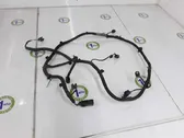 Parking sensor (PDC) wiring loom