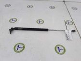 Tailgate/trunk strut/damper