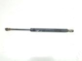 Tailgate/trunk strut/damper