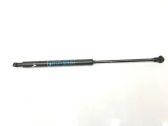 Tailgate/trunk strut/damper