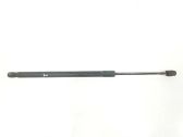 Tailgate/trunk strut/damper