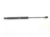 Tailgate/trunk strut/damper