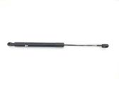 Tailgate/trunk strut/damper