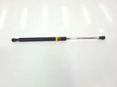 Tailgate/trunk strut/damper