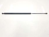 Tailgate/trunk strut/damper