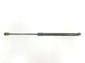 Tailgate/trunk strut/damper