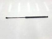 Tailgate/trunk strut/damper