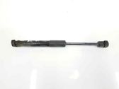 Tailgate/trunk strut/damper