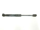 Tailgate/trunk strut/damper