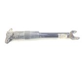 Rear shock absorber with coil spring