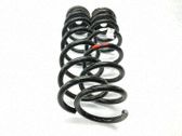 Muelle espiral trasero