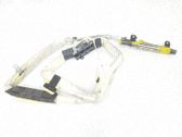 Airbag del techo