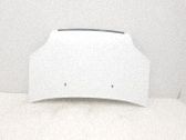 Motorhaube