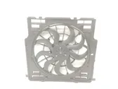 Electric radiator cooling fan