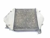 Radiatore intercooler