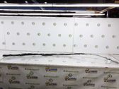 Roof airbag