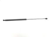 Tailgate/trunk strut/damper