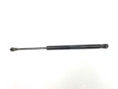 Tailgate/trunk strut/damper