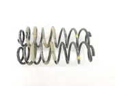 Rear coil spring