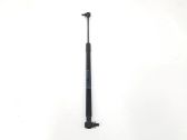 Tailgate/trunk strut/damper