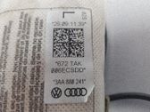 Airbag de la puerta delantera