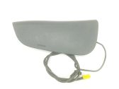 Airbag de la puerta delantera