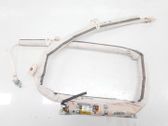 Airbag del techo