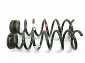 Muelle espiral trasero