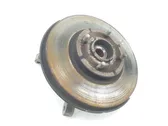 Front wheel hub spindle knuckle