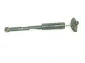 Rear shock absorber with coil spring