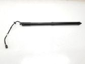 Tailgate/trunk strut/damper